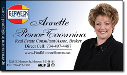 Annette Perna-Taormina, Realtor ® / Owner
